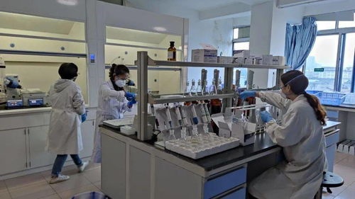 市民有約，走進農產品質檢中心——零距離觀摩初級農產品安全檢測