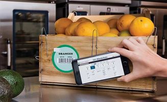 從田野到全球 荷蘭農業百年演進與中國初級農產品發展的啟示