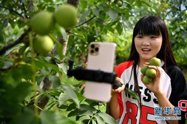 窺見未來農產品發展五大趨勢 縣域為何是品牌建設主戰場
